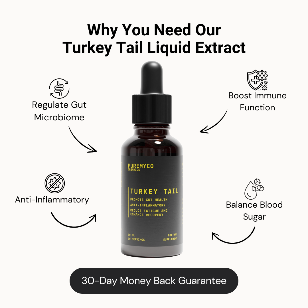 Turkey Tail Liquid Extract