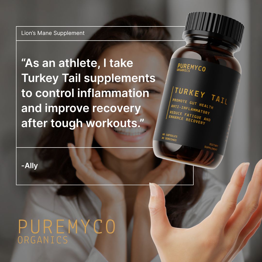 Organic Turkey Tail Extract Capsules