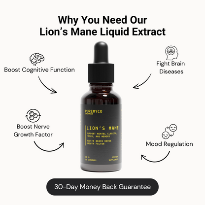 Lion&