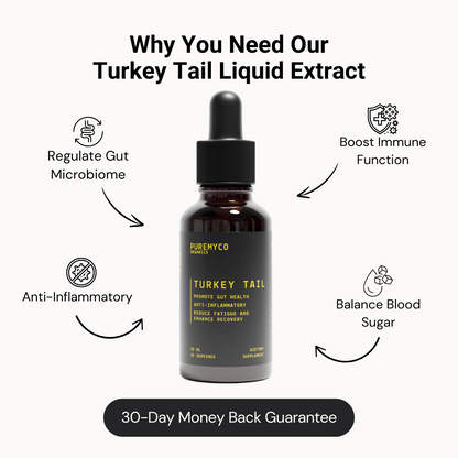 Turkey Tail Liquid Extract