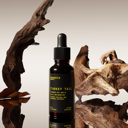 Turkey Tail Liquid Extract | Organic | USA-Grown