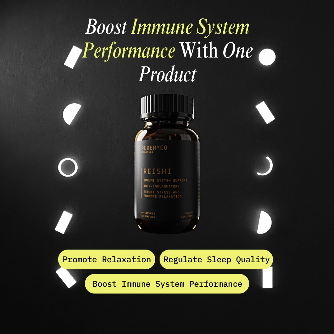 Reishi Extract Capsules | Organic | USA-Grown