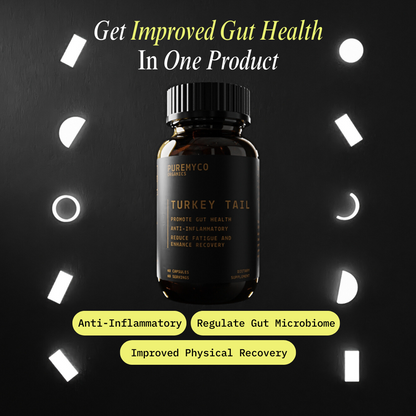 Turkey Tail Extract Capsules | Organic | USA-Grown