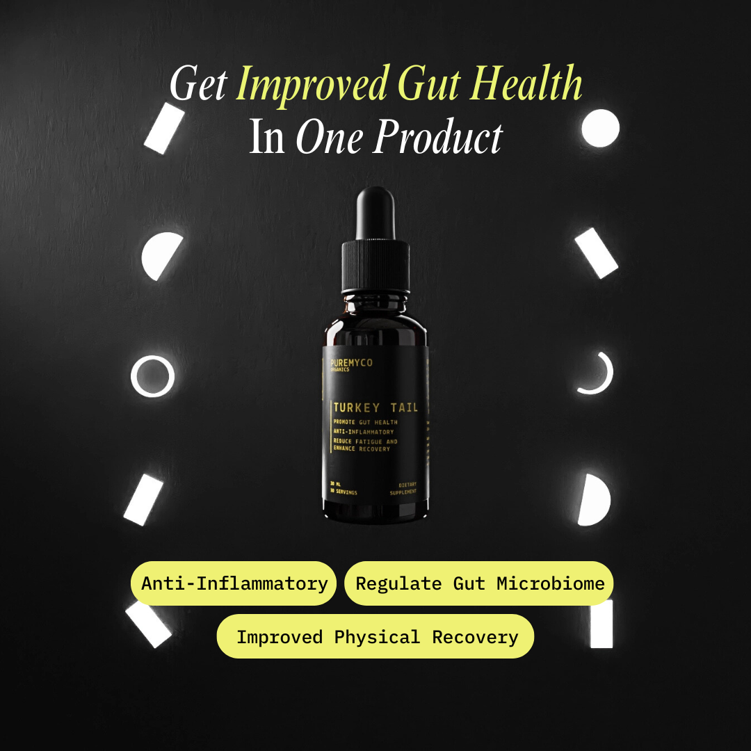 Turkey Tail Liquid Extract | Organic | USA-Grown